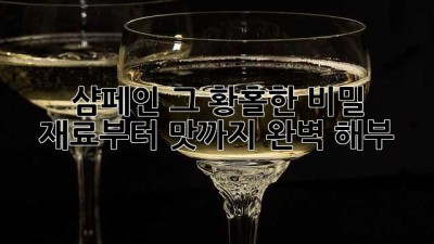 🥂 샴페인, 그 황홀한 비밀: 재료부터 맛까지 완벽 해부! 🍾