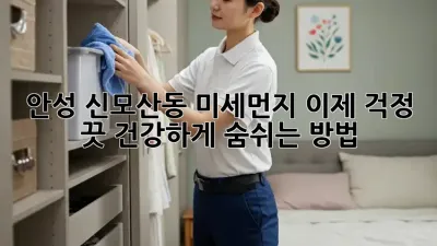 안성 신모산동 미세먼지, 이제 걱정 끗! 건강하게 숨쉬는 방법