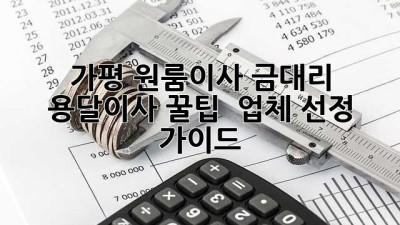 가평 원룸이사, 금대리 용달이사 꿀팁🍯 & 업체 선정 가이드